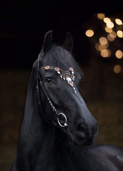 Melanie Reidinger, Friese: Maurice le Grand (Moritz)
