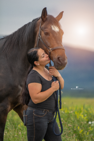 Melanie Reidinger, Ricciones Romeo (Ricy), Warmblut Wallach